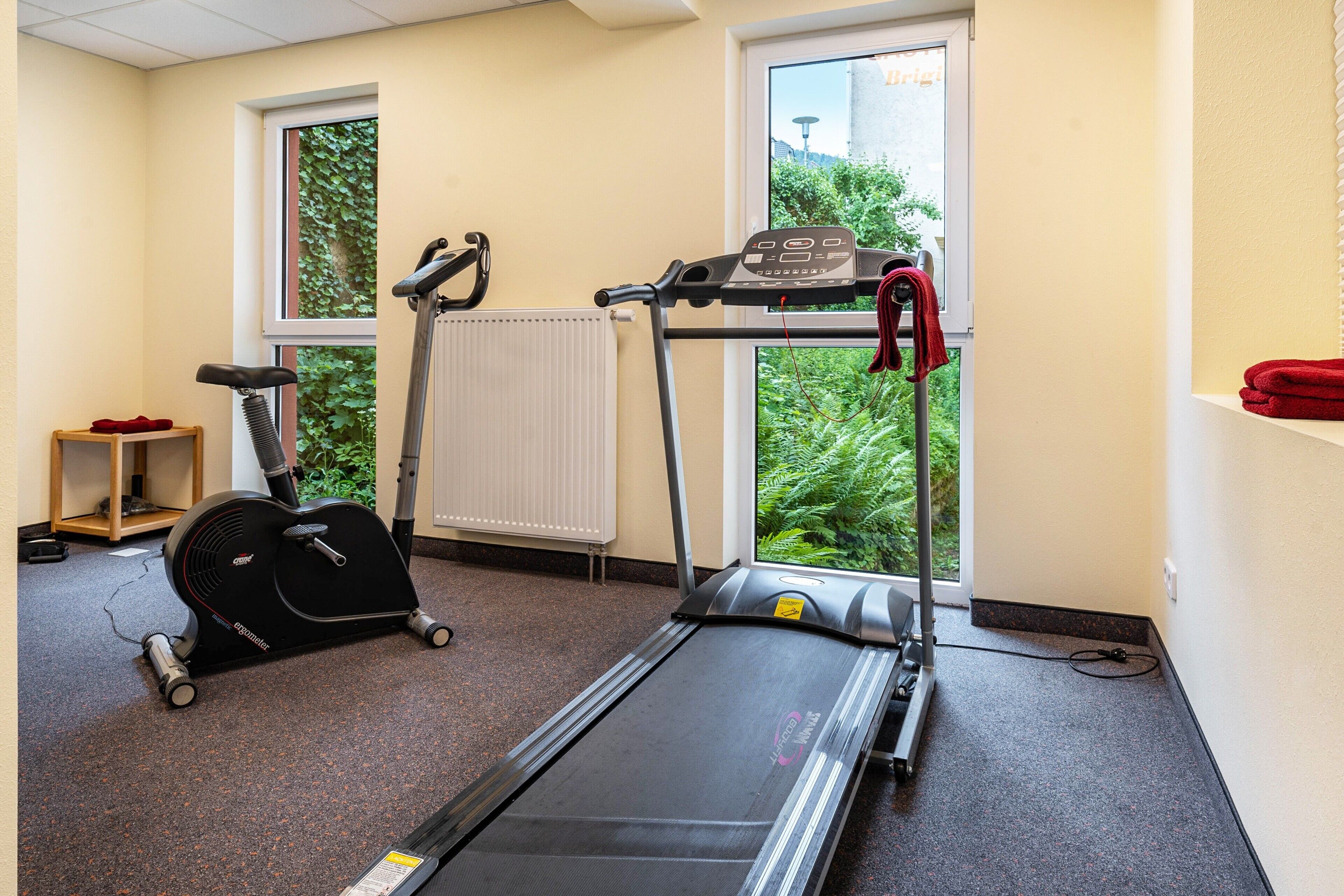 A fitness room with a treadmill, elliptical, and exercise bike, a radiator, and a window with a view of greenery.