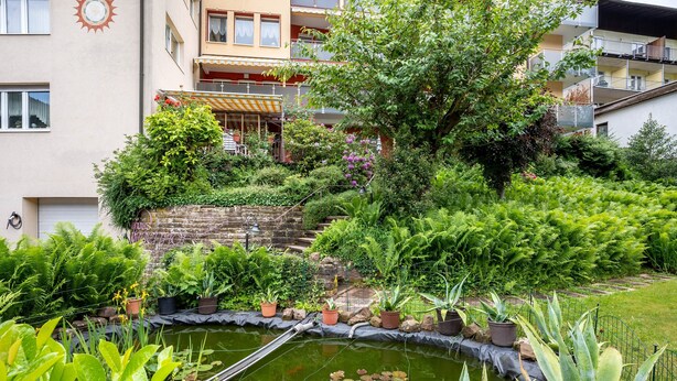 A garden with a pond, various plants, and a building with balconies.