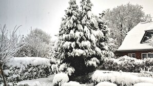 Een besneeuwd landschap met een grote altijdgroene boom en een huis op de achtergrond.