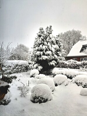 A snow-covered landscape with a large evergreen tree and a house in the background.
