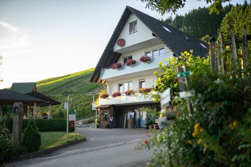 Baßler Schlossblick Apartment with Private Terrace, Balcony and Wi-Fi