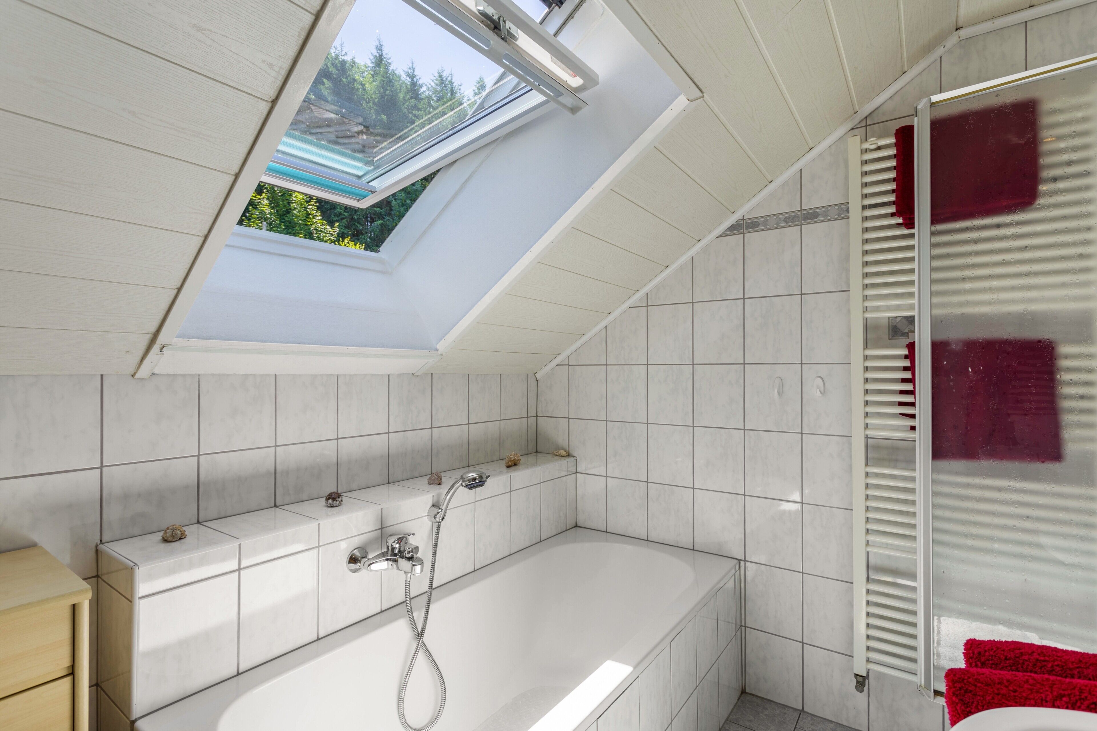 Dusche, Haartrockner, Handtücher