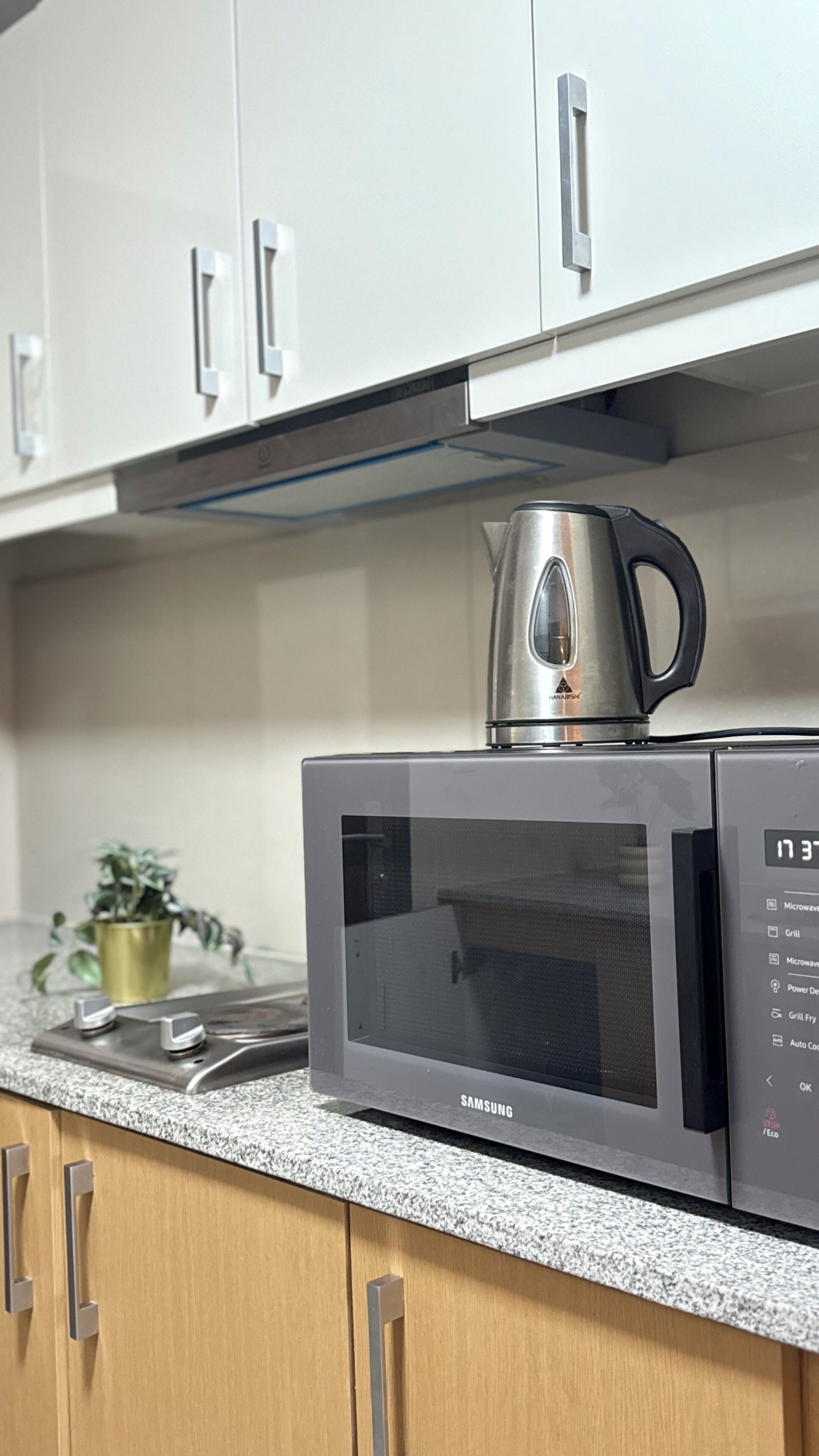 A kitchen with a microwave, a kettle, and a potted plant on the counter.