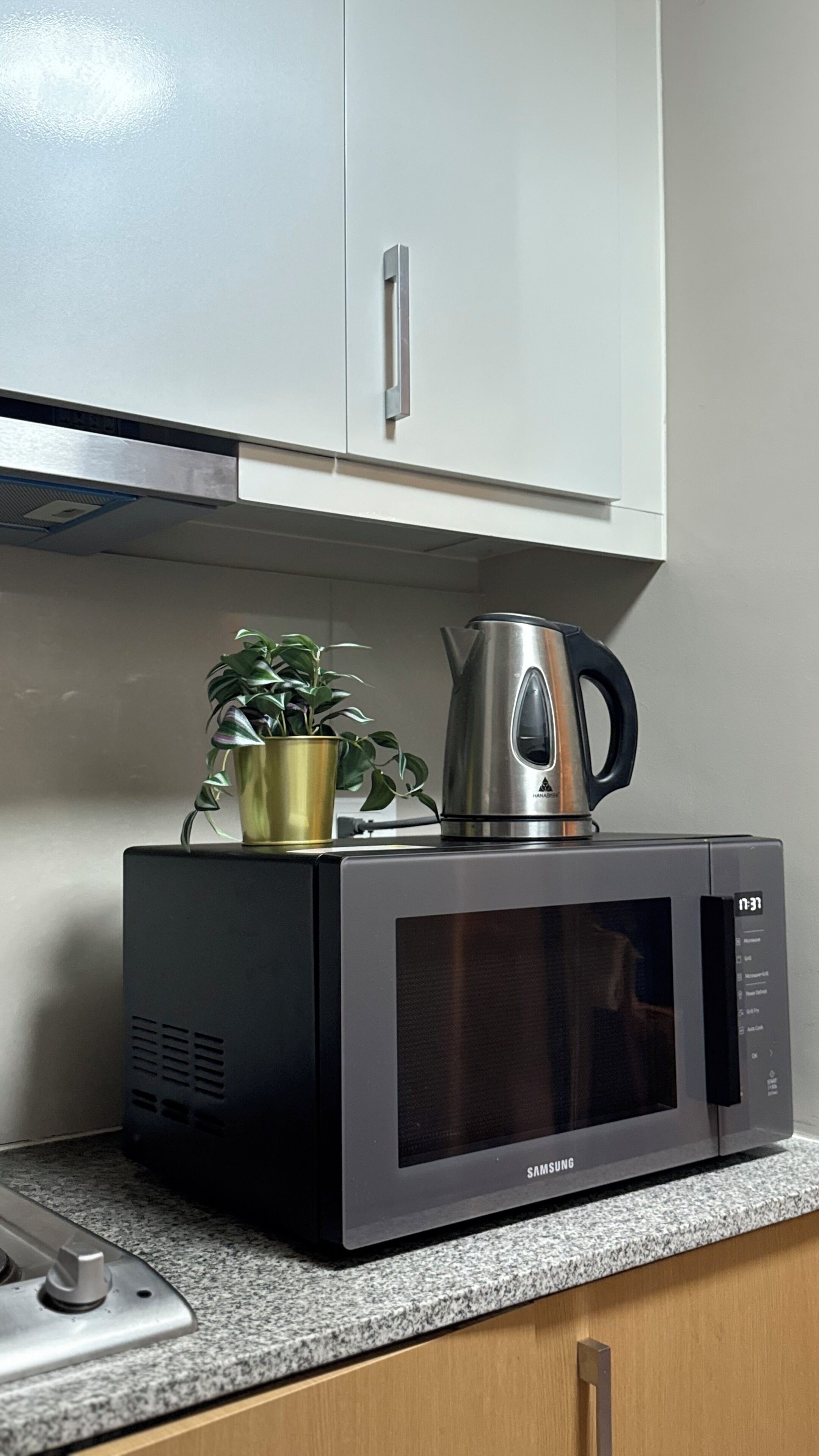 Une cuisine équipée d’un four à micro-ondes, d’une bouilloire et d’une plante en pot posée sur le plan de travail.