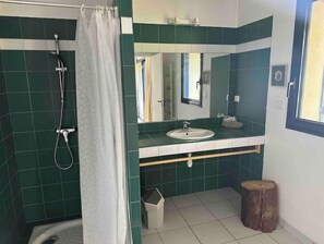 Shower, hair dryer, soap, toilet paper