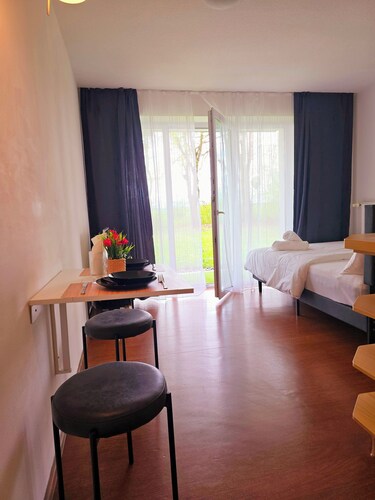 Charming and peaceful studio with gorgeous green backyard view. Energy boosting