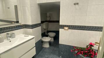 Haartrockner, Bidet, HandtĂŒcher, Seife