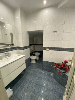 Hair dryer, bidet, towels, soap