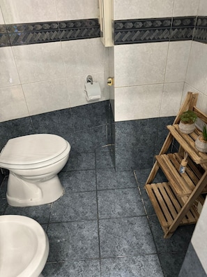 Hair dryer, towels, soap, toilet paper
