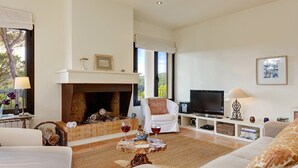 Una sala de estar con chimenea, televisor y sofá.
