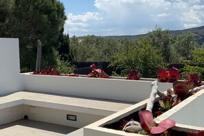 Property grounds - My Rental Homes - Villa Luisa with private pool and garden (Cadaqués)