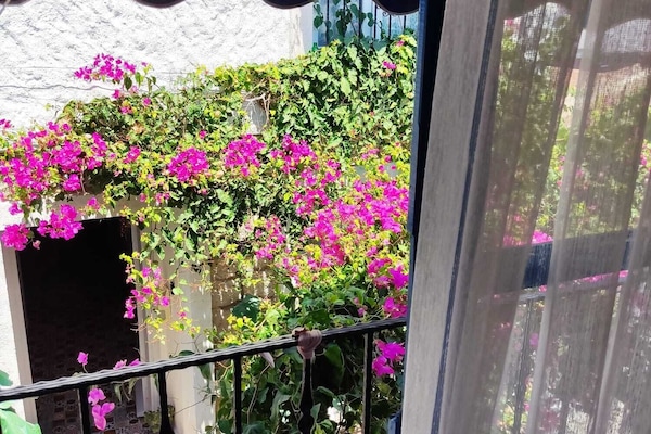 Deluxe Room, Non Smoking | Terrace/patio