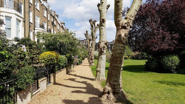 A pathway lined with trees and a row of terraced houses. - The Maida Vale Garden Apartment, by Veeve (London)