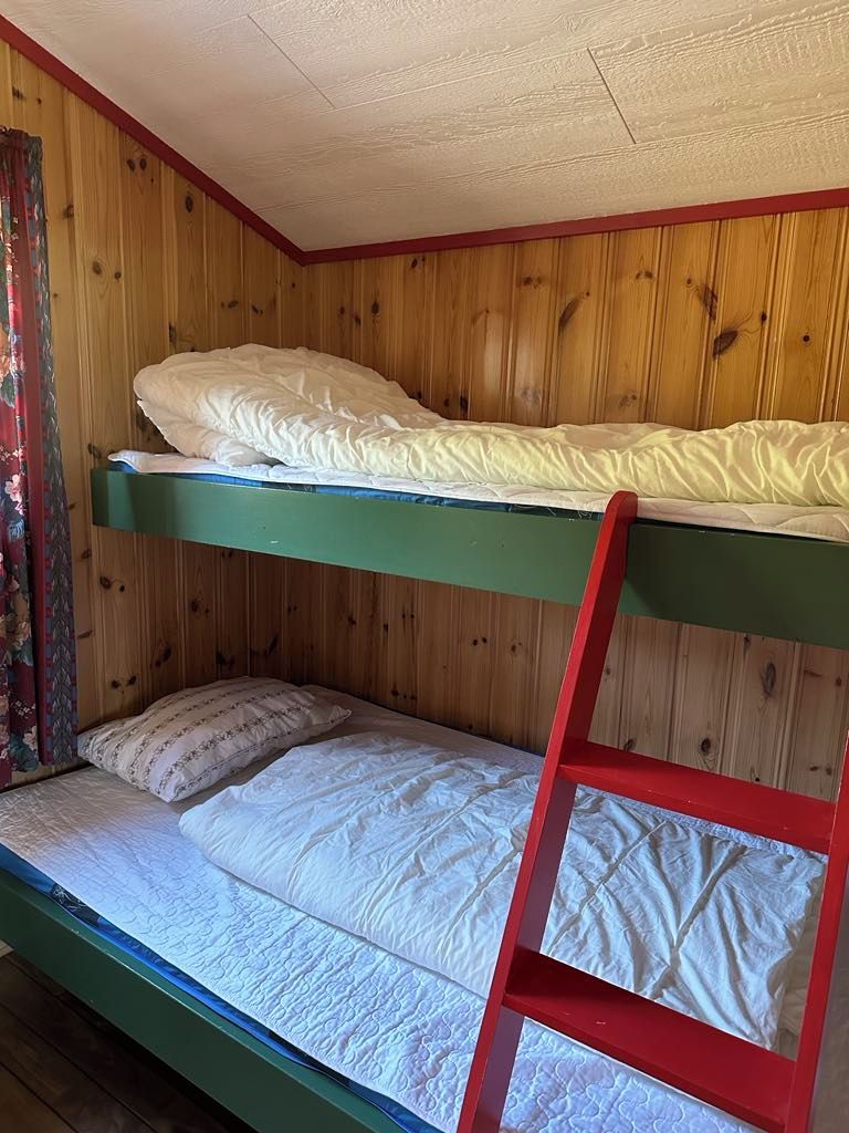 Una cama litera con escalera, paredes de madera y una cortina floral.