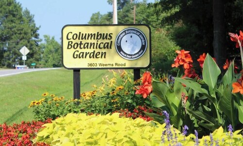 3BR Military Home•Backyard•Grill•15min to Ft Moore