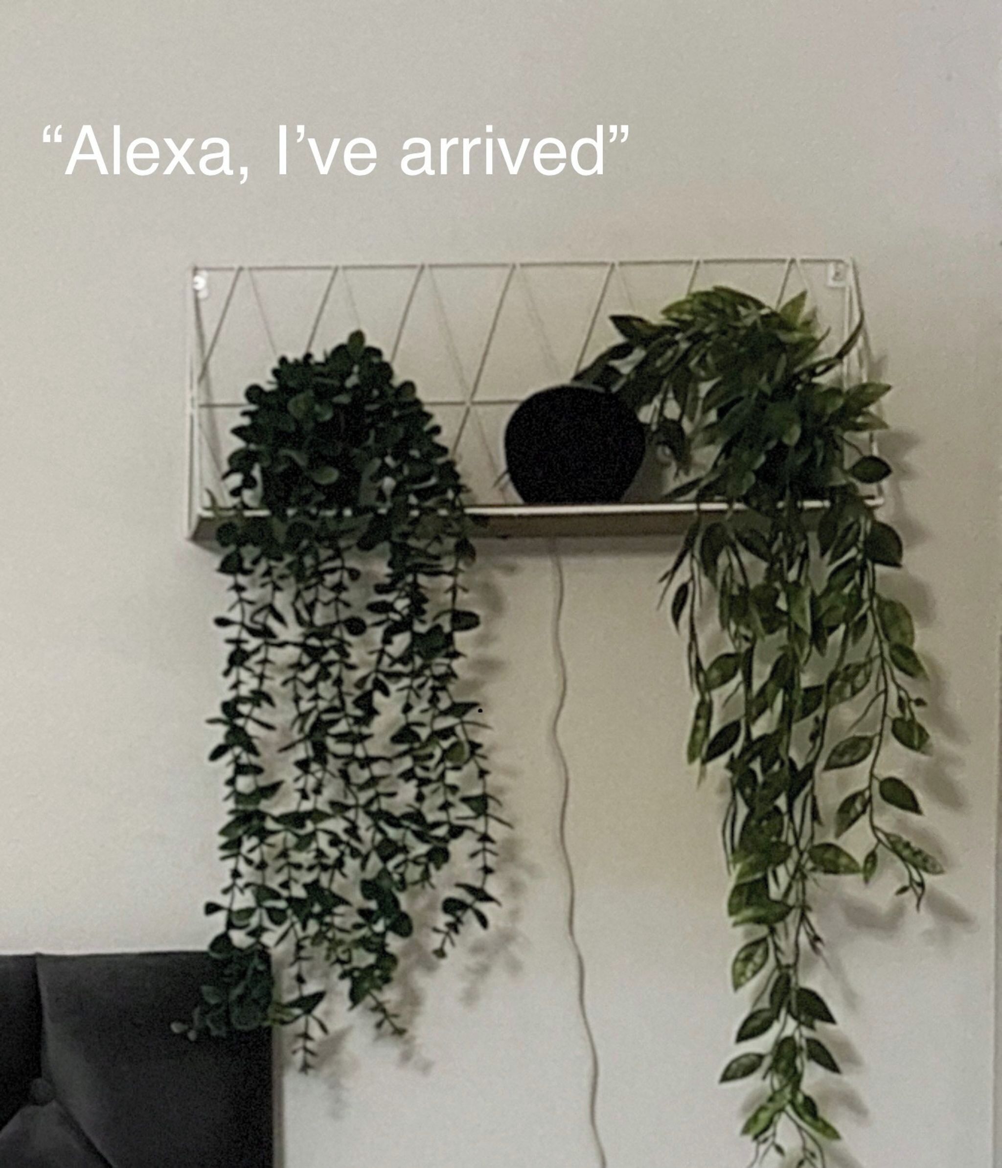 Détail de l’intérieur