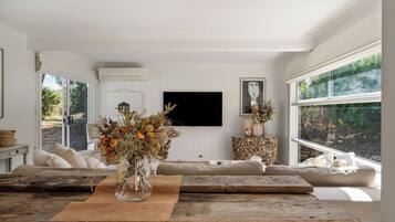 Smart TV