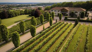 A vineyard with rows of grapevines, a building with a tiled roof, and a clear view of the surrounding landscape.