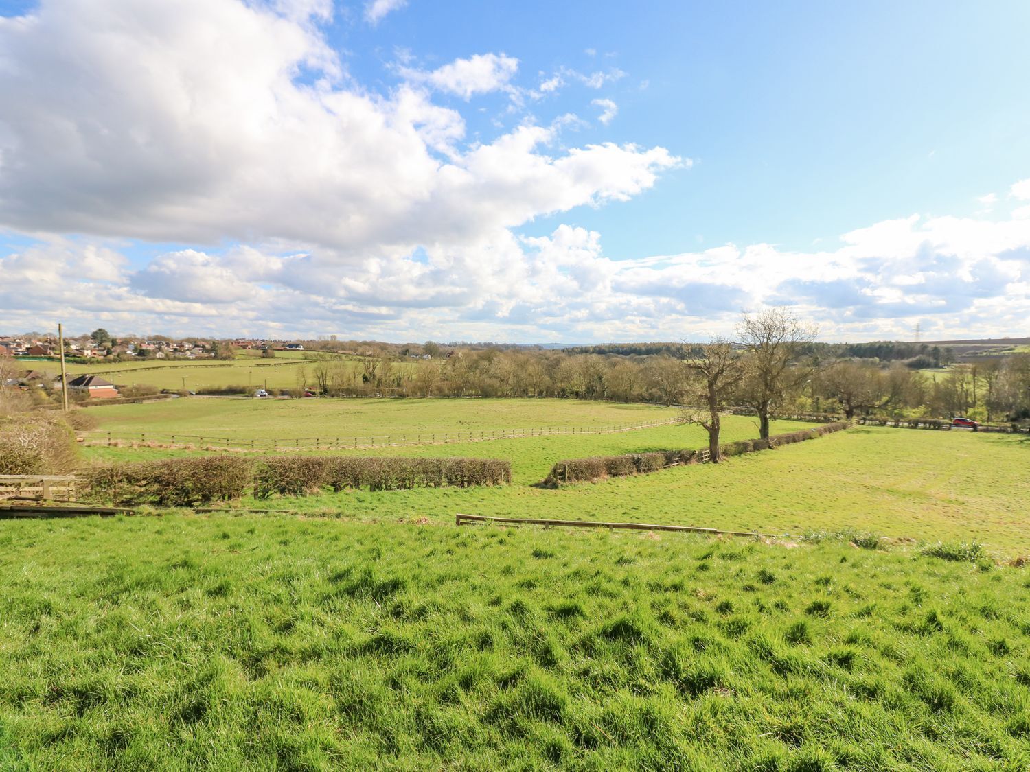 A rural landscape with green fields, a wooden fence, and a tree.