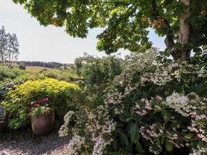 Property grounds - Magnolia View (Barnstaple)