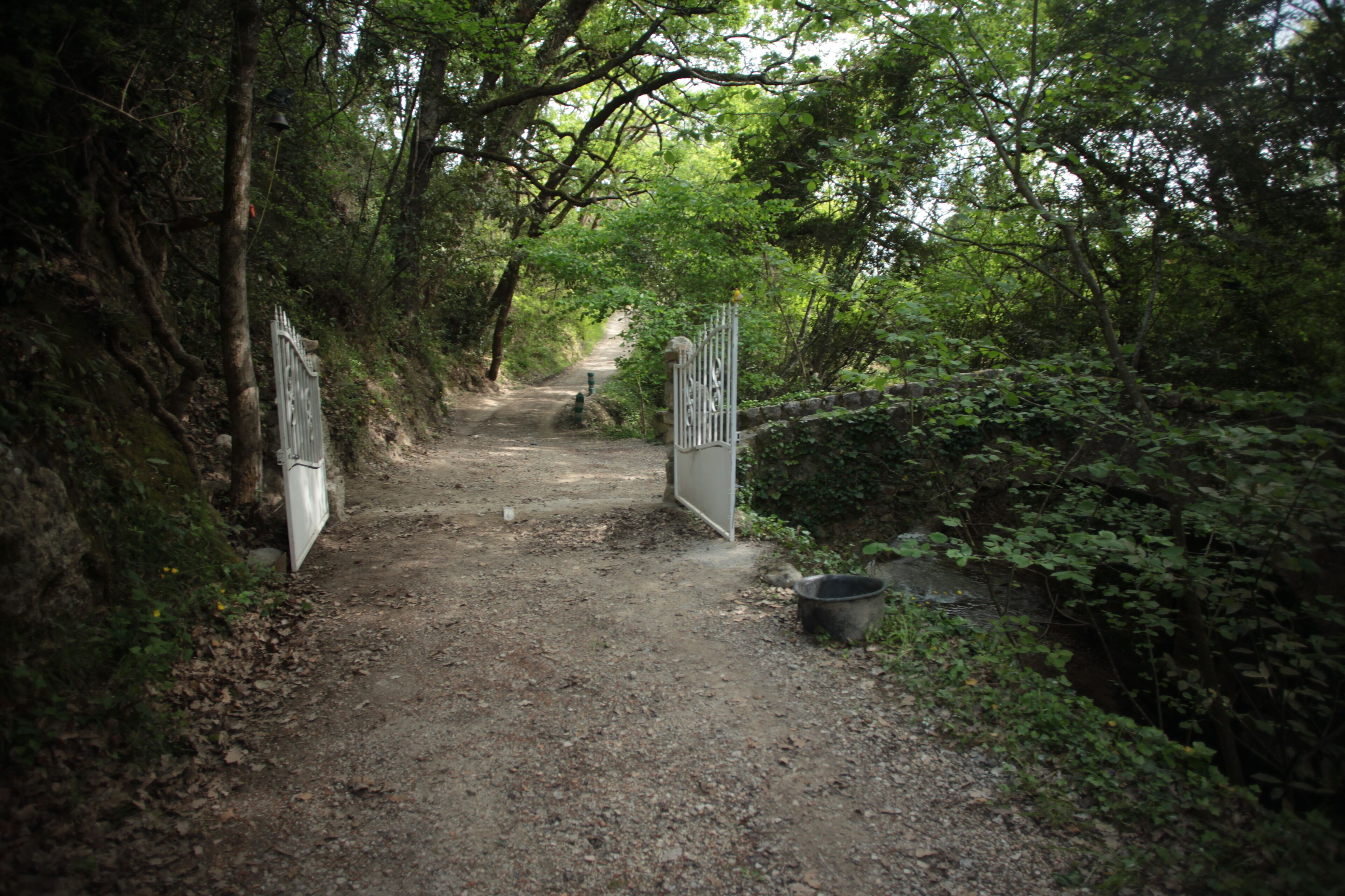 Un sentier bordé d’arbres, avec des portails en métal et un seau placé sur le côté.