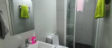 Shower, hair dryer, bidet, towels