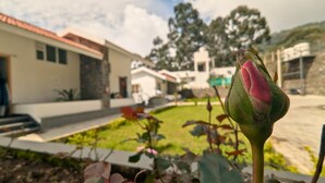 Un bocciolo di rosa in un giardino con una casa sullo sfondo.