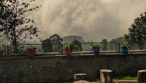 Un muro de piedra con una cerca metálica y plantas en macetas.