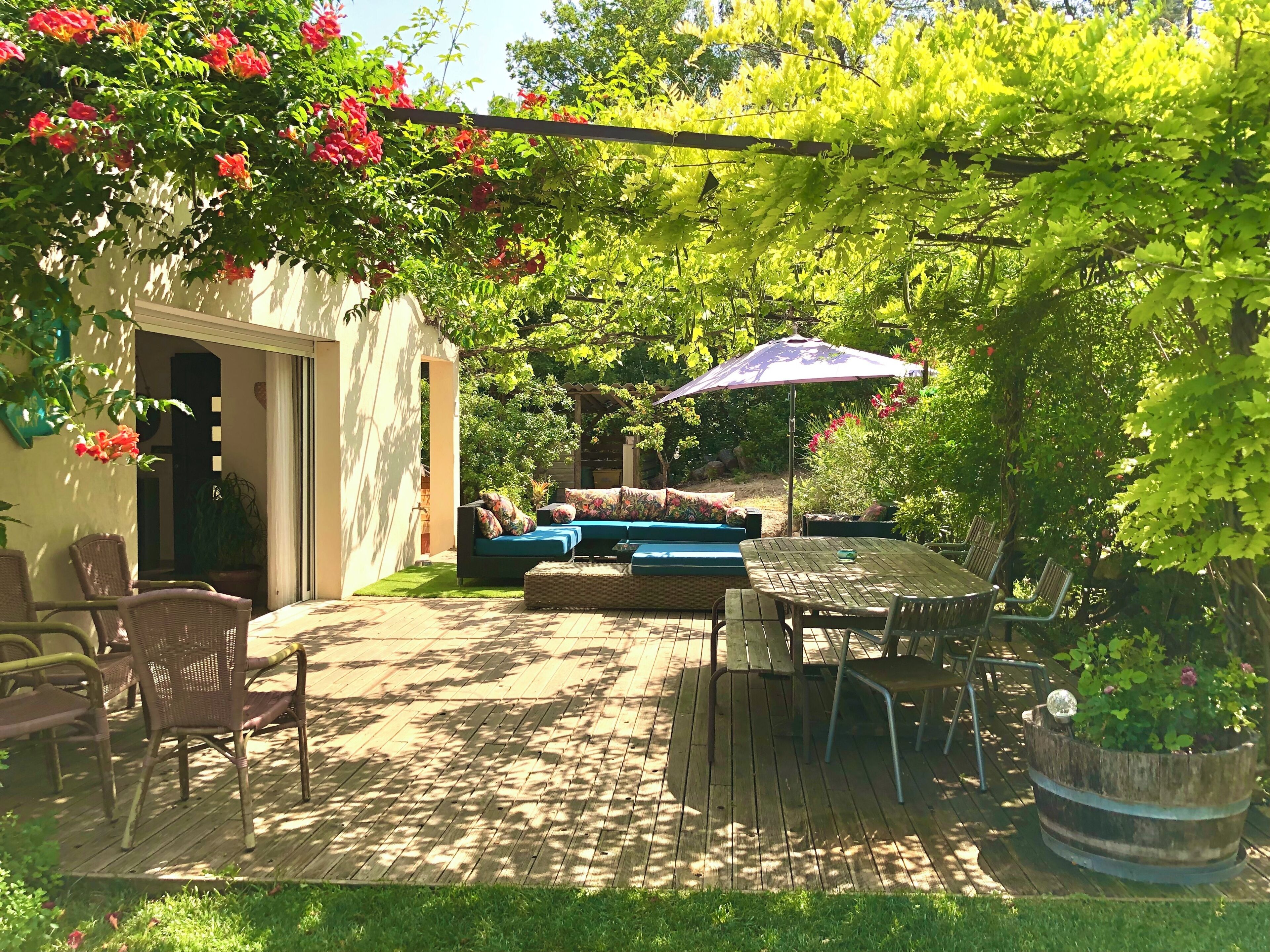 A patio with a wooden deck, a blue sofa, wicker chairs, a table, and a pergola with red flowers.
