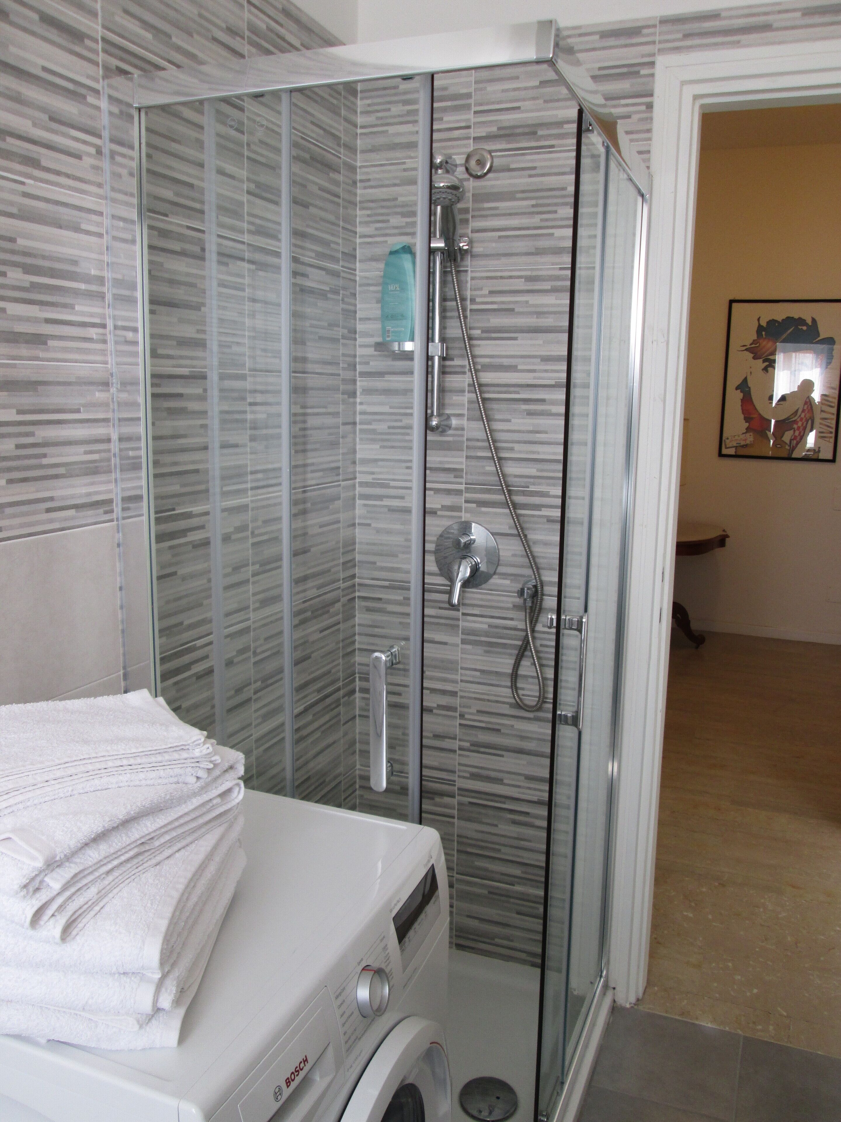 Shower, hair dryer, bidet, towels