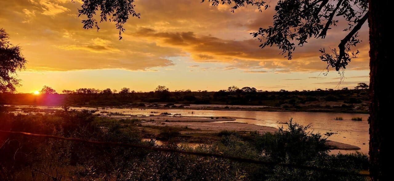 A sunset view over a river with trees and a distant horizon.