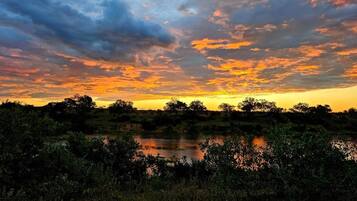 A sunset over a landscape with a body of water and dense vegetation.