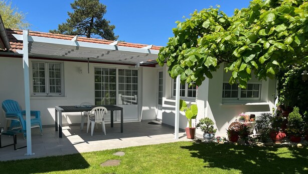 A patio with a table and chairs, surrounded by a well-maintained lawn and potted plants.