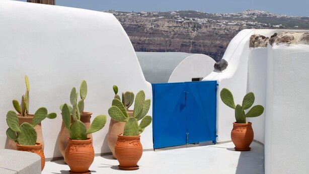 Una terraza en la azotea con paredes blancas, macetas de terracota con cactus, una puerta azul y vistas a un paisaje montañoso.