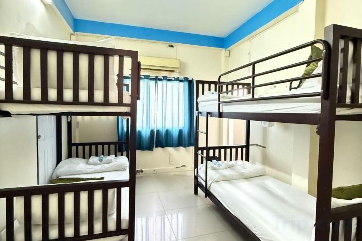 Bunk Bed In Shared Dormitory Room(Male Only) 31-A