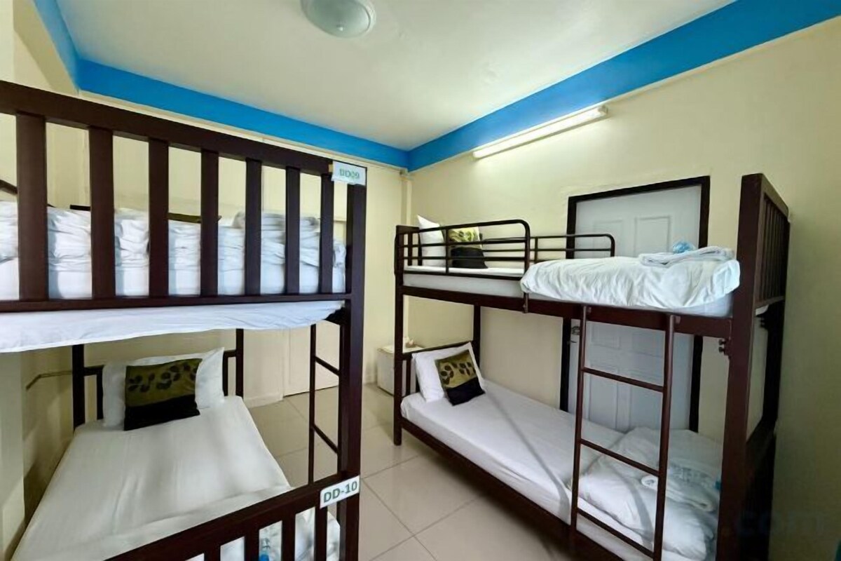 Bed In Bunk Share Dormitory (Female Only) 41-D