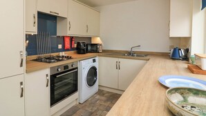 A compact kitchen with a washing machine, a microwave, and a sink. - 8 Dartmouth House (Dartmouth)