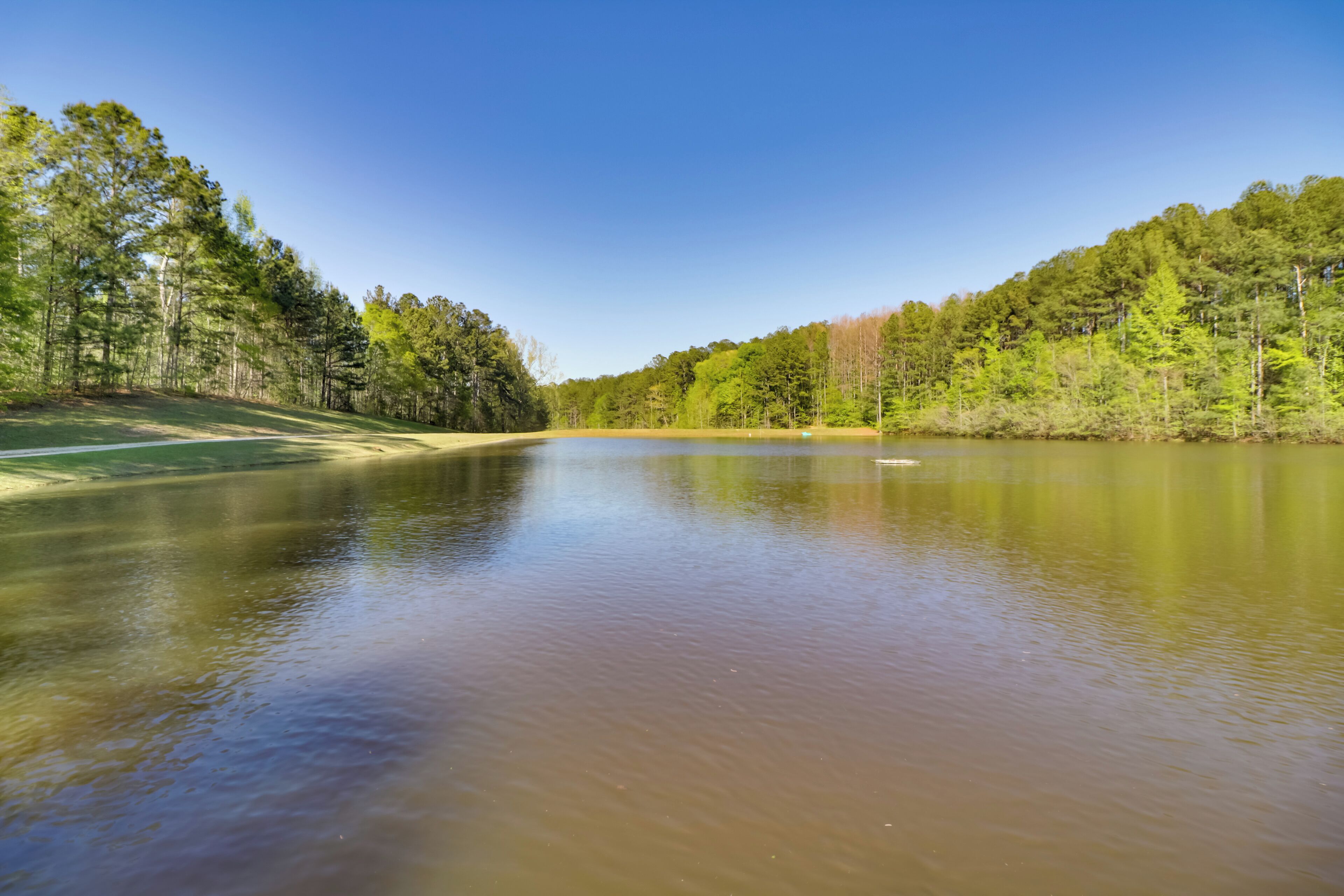 A calm lake surrounded by dense forest.