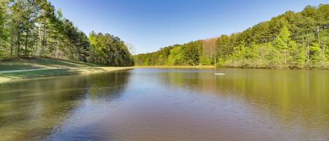 A calm lake surrounded by dense forest.
