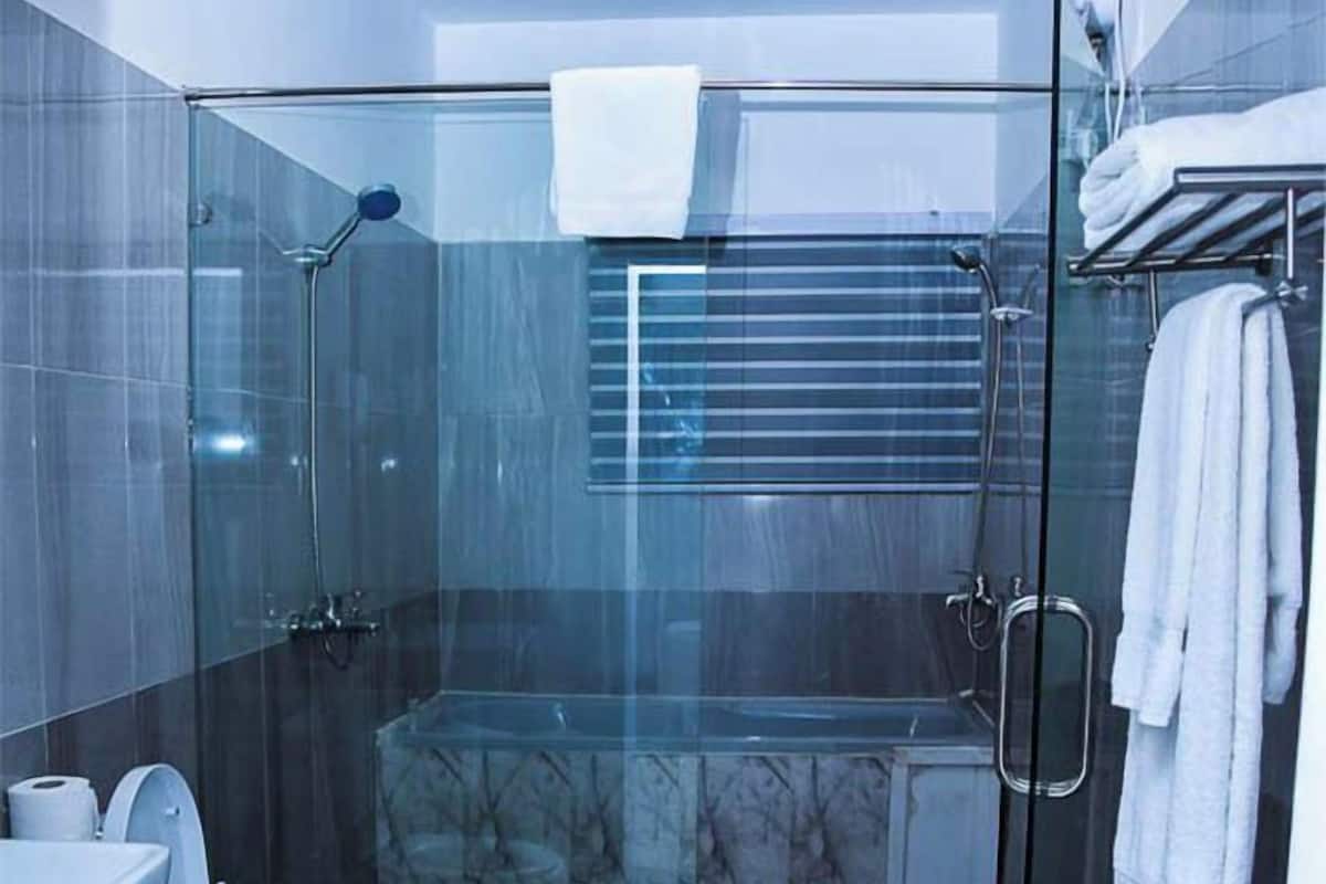 Chuveiro, secador de cabelo, toalhas de banho, sabonete