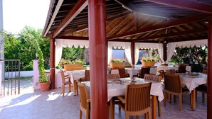 An outdoor patio with wooden tables and chairs, covered by a wooden roof, surrounded by potted plants and flowers. - Morgül Pansiyon (Gokceada)