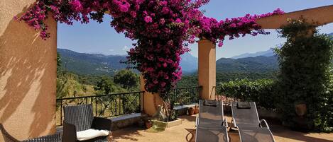 テラス / パティオ