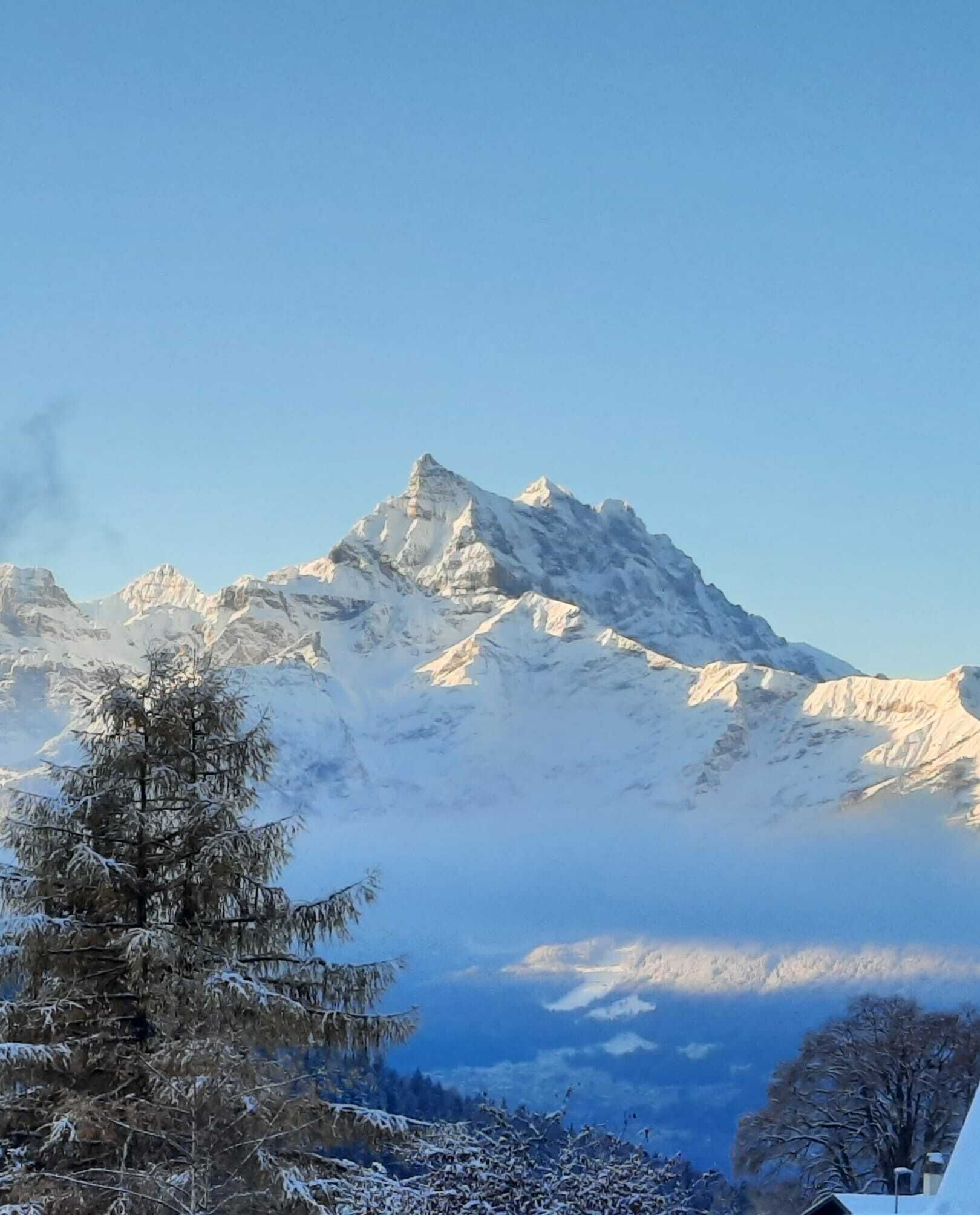 Un sommet montagneux enneigé, sous un ciel dégagé.