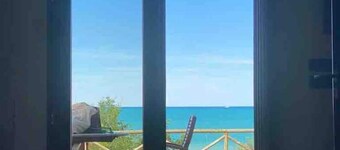 The Fox In The Pine Forest