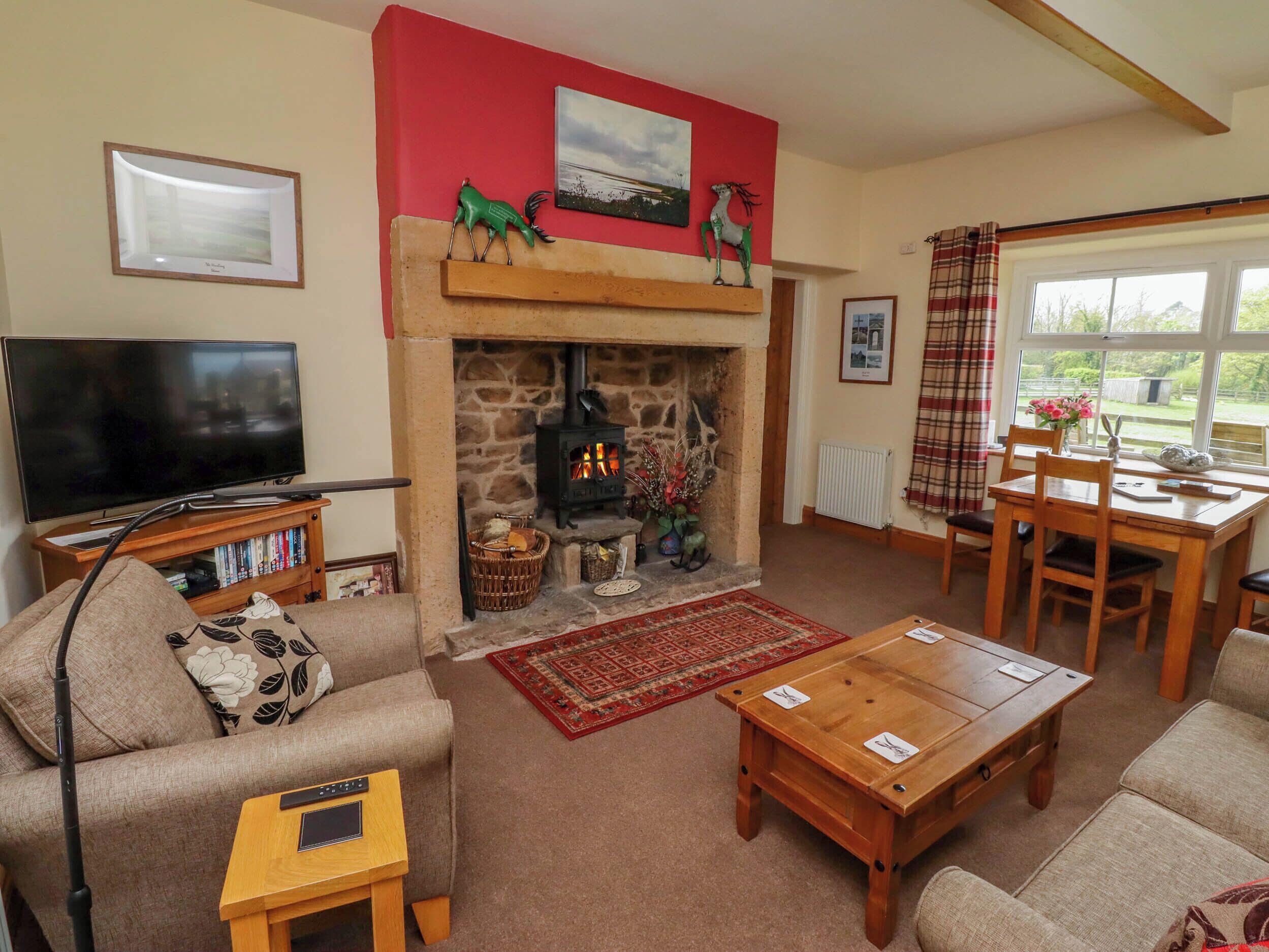 TV, fireplace, DVD player