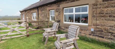 テラス / パティオ