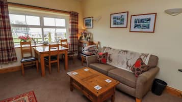 TV, fireplace, DVD player