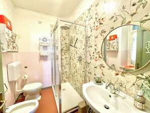 Shower, hair dryer, bidet, towels