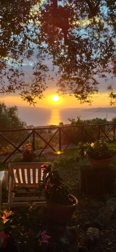 AGRITURISMO  LA FOCAZZA