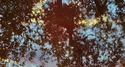 AGRITURISMO LA FOCAZZA